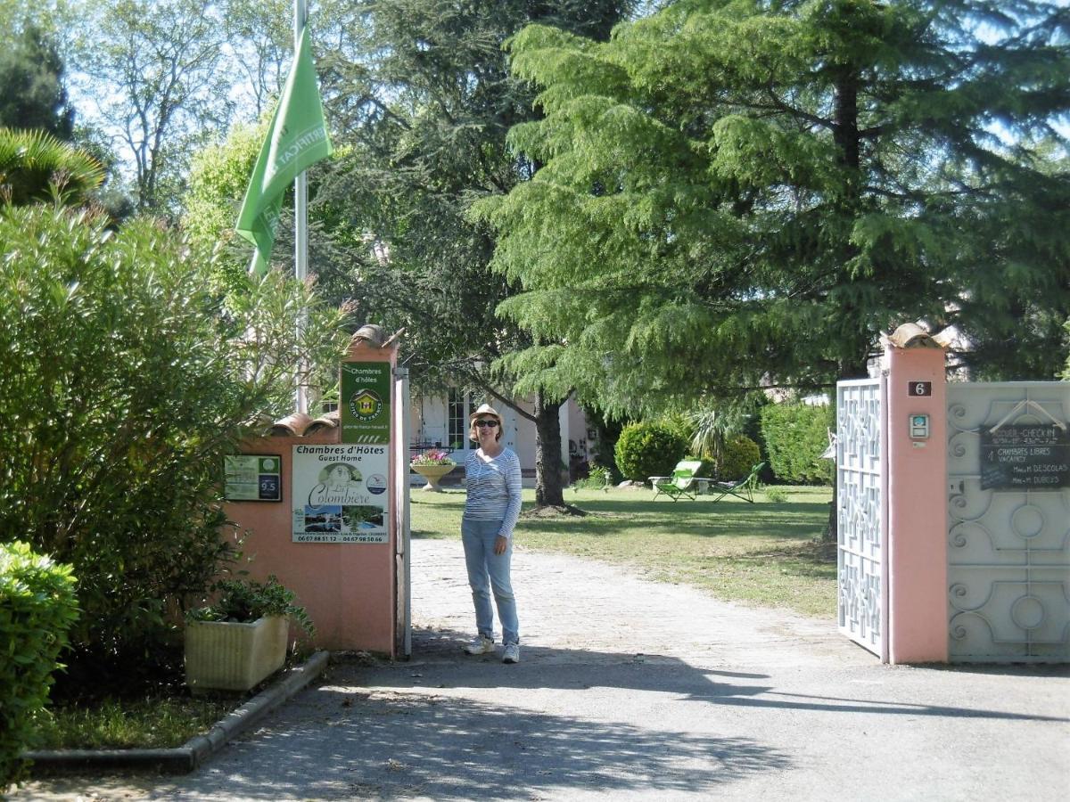 Chambres D'Hotes La Colombiere Colombiers  Szoba fotó